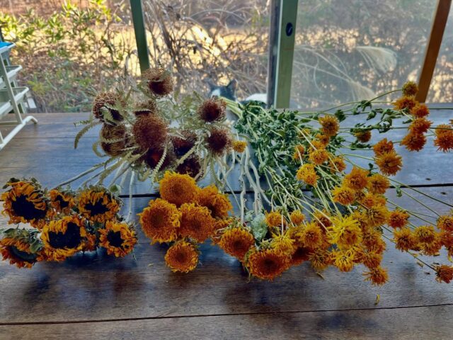 八ヶ岳ドライフラワー f3